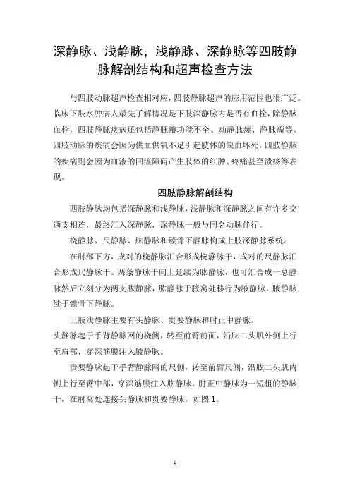 深静脉、浅静脉等四肢静脉解剖结构和超声检查方法