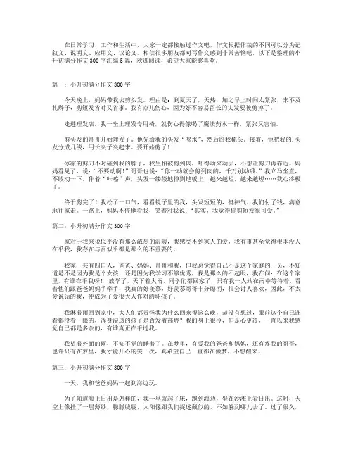 小升初满分作文300字汇编5篇