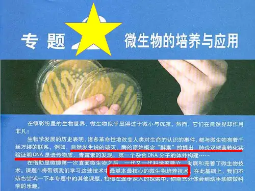 高二生物：微生物的实验室培养