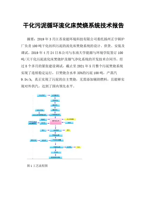 干化污泥循环流化床焚烧系统技术报告