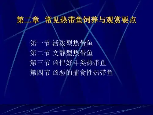 热带鱼第二章