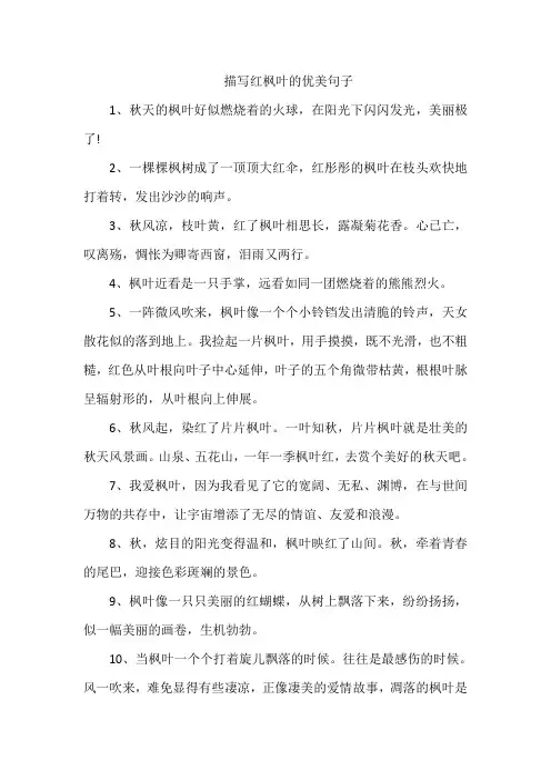 描写红枫叶的优美句子