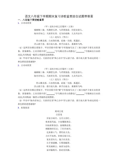 语文八年级下学期期末复习诗歌鉴赏综合试题带答案