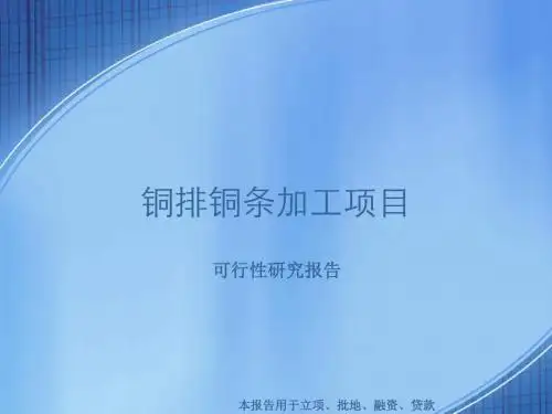 铜排铜条加工项目可行性研究报告
