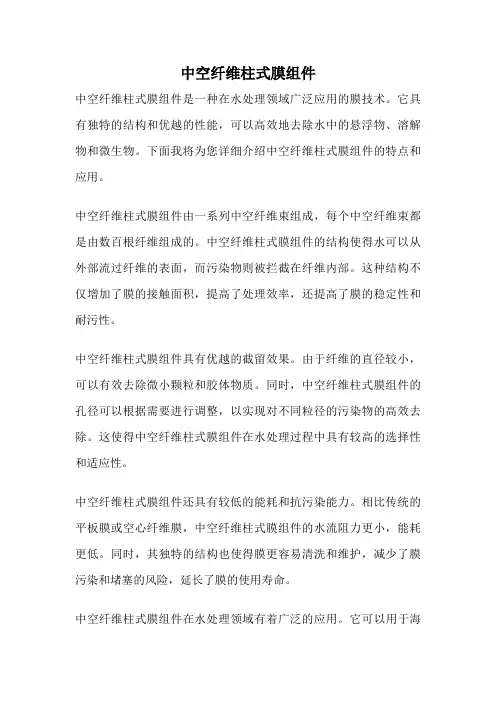 中空纤维柱式膜组件