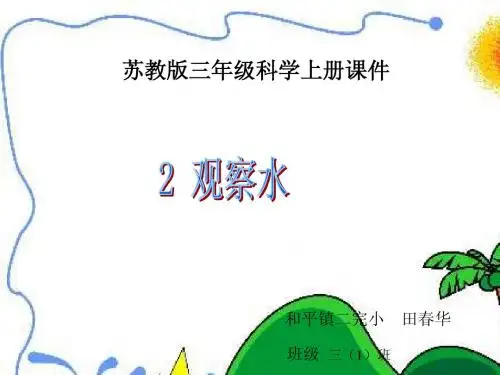 苏教版小学科学三年级上册《观察水》课件