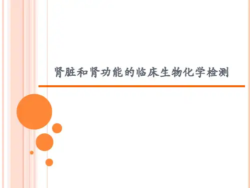 肾脏和肾功能的临床生物化学检测