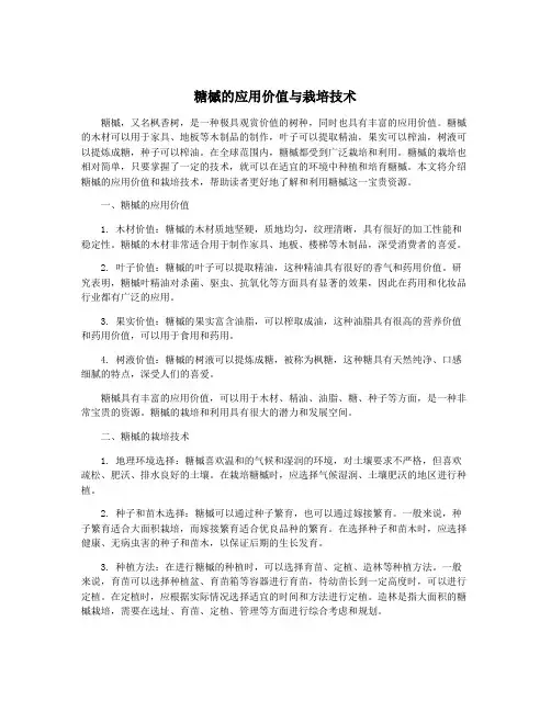 糖槭的应用价值与栽培技术