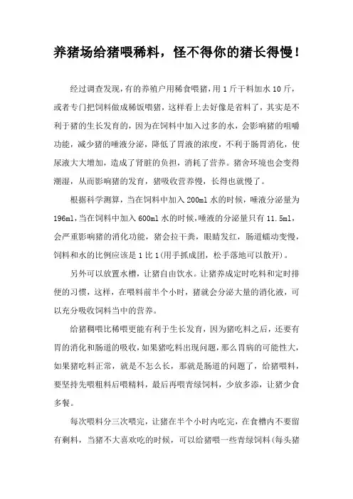 养猪场给猪喂稀料，怪不得你猪长得慢