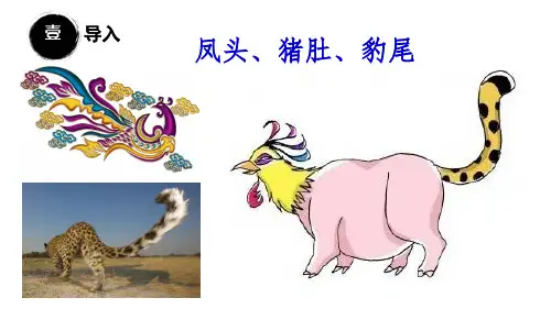 初中作文指导作文的开头与结尾(共21张PPT)