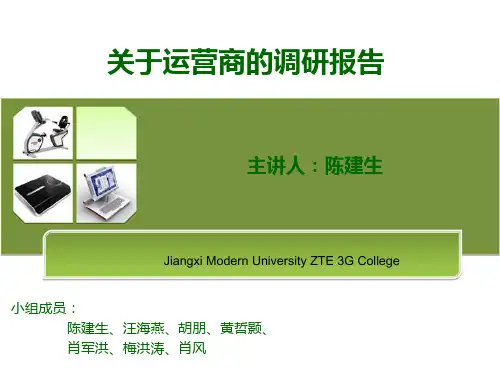 运营商调研报告