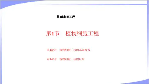 第二章细胞工程第1节植物细胞工程 教学课件人教版高中生物选择性必修3
