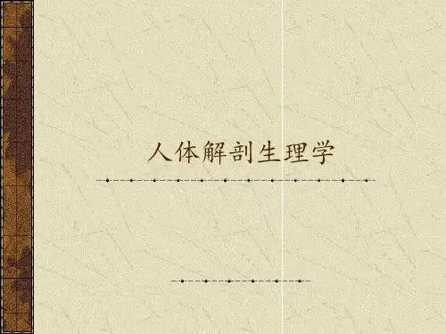 人体生理学 ppt课件