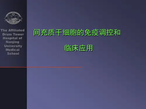 MSC(间充质干细胞)