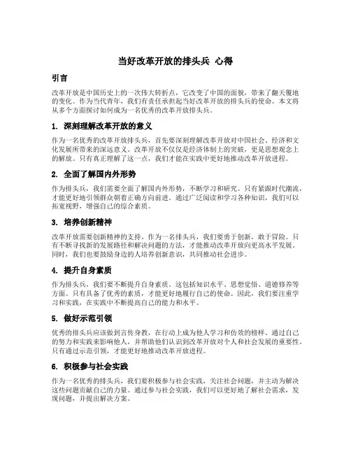 当好改革开放的排头兵 心得