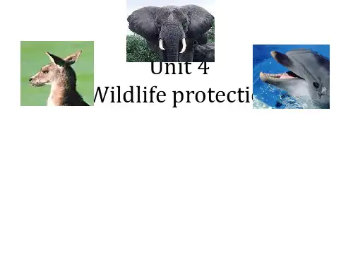 高中英语 必修二 Unit4 《Wildlife protection ---Warming up and reading》