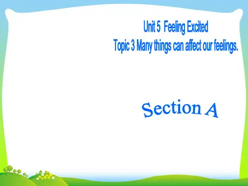 【】仁爱版八年级英语下册Unit 5 Topic 3 Section A精品课件