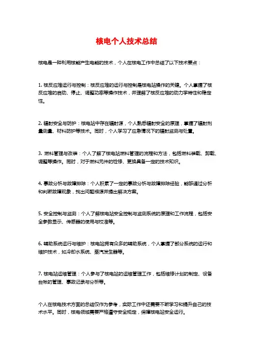 核电个人技术总结