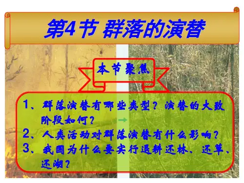 高中生物必修三课件：4.4.1 群落的演替(共31张PPT)