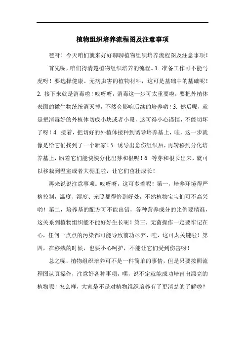 植物组织培养流程图及注意事项