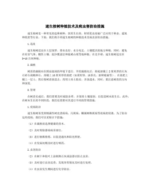 速生桉树种植技术及病虫害防治措施