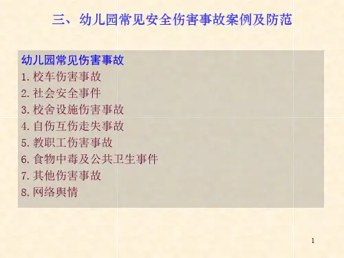 幼儿园安全事故典型案例ppt课件