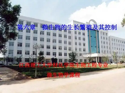 第六章  微生物的生长及其控制