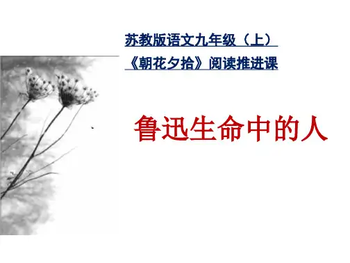 《朝花夕拾》阅读推进课——鲁迅生命中的人