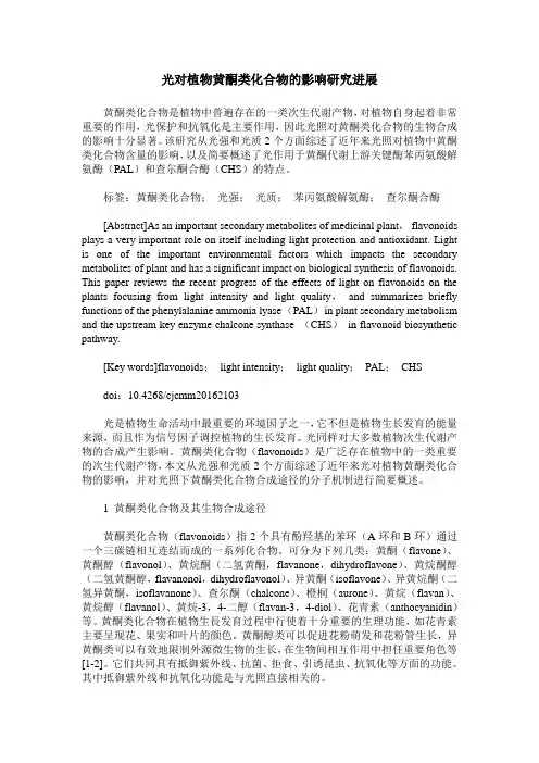 光对植物黄酮类化合物的影响研究进展