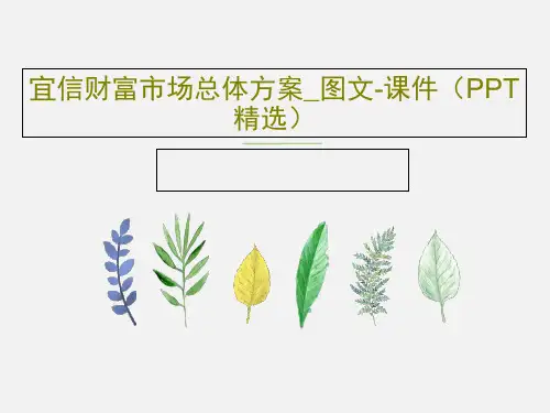 宜信财富市场总体方案_图文-课件(PPT精选)共17页