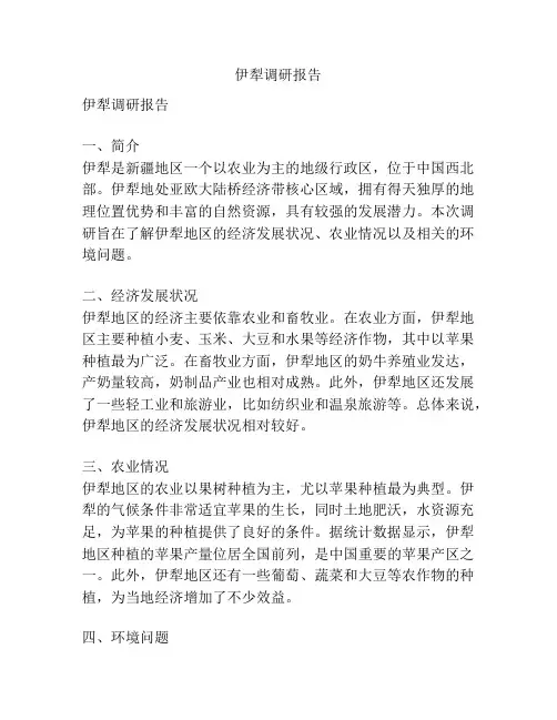 伊犁调研报告