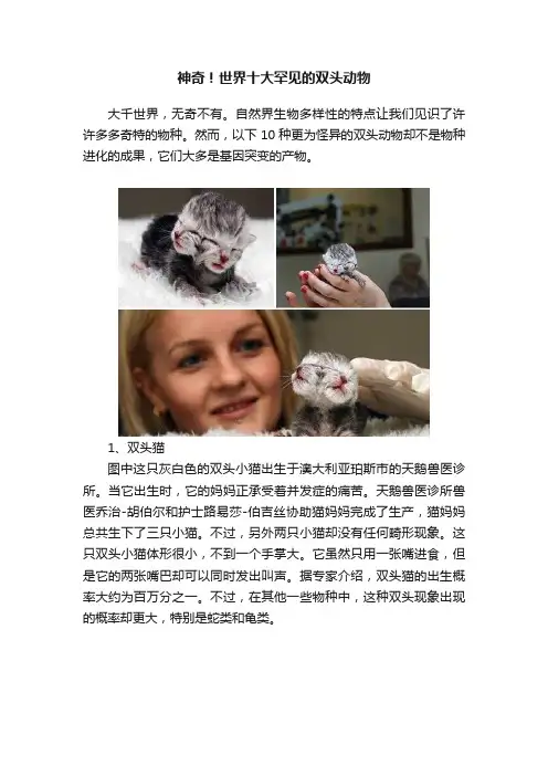 神奇！世界十大罕见的双头动物