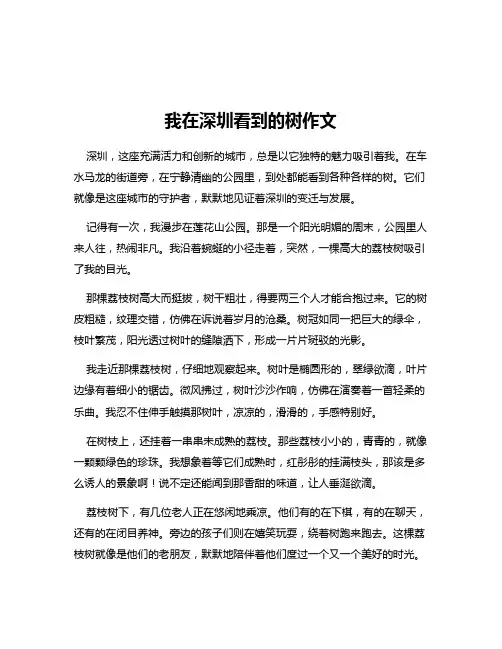 我在深圳看到的树作文