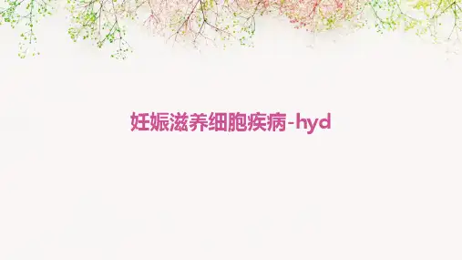 妊娠滋养细胞疾病-hyd