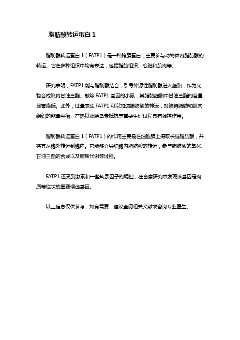 脂肪酸转运蛋白1