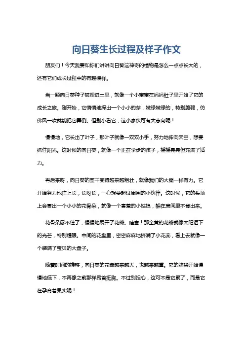 向日葵生长过程及样子作文