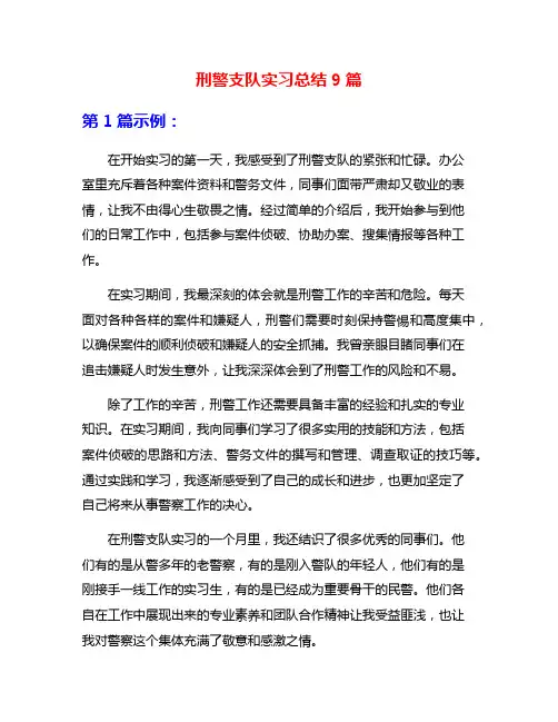 刑警支队实习总结9篇