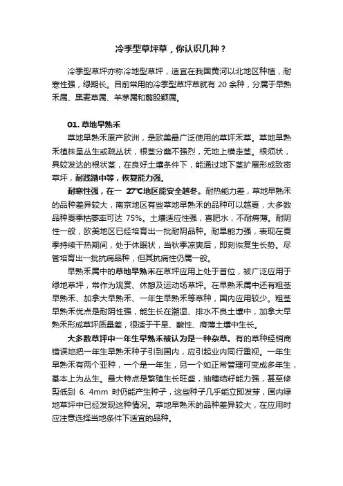 冷季型草坪草，你认识几种？