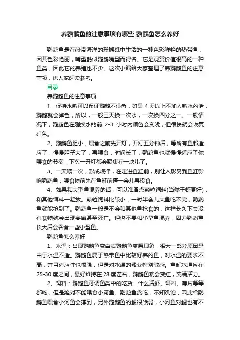 养鹦鹉鱼的注意事项有哪些_鹦鹉鱼怎么养好