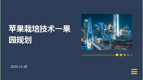苹果栽培技术一果园规划
