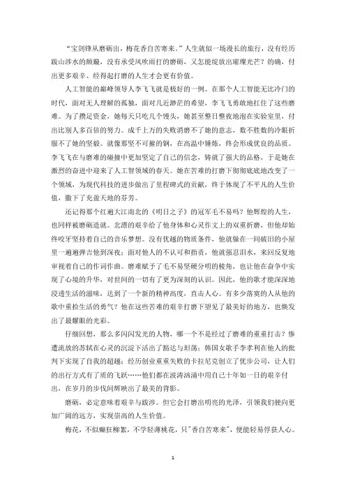 精选优秀作文磨砺成就人生价值