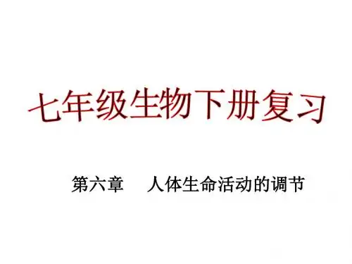 七年级下册生物第六章人体生命活动的调节复习ppt课件