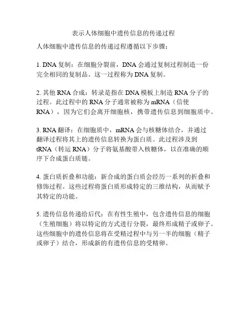 表示人体细胞中遗传信息的传递过程