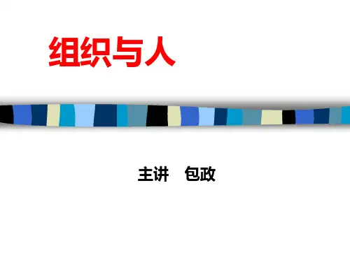 现代组织管理的理论(ppt 85页)