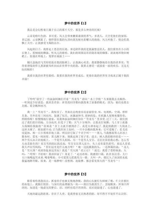 梦中的世界作文
