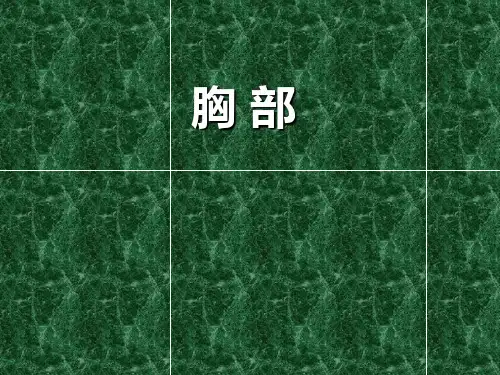 断层解剖学课件：断面胸部_(2)