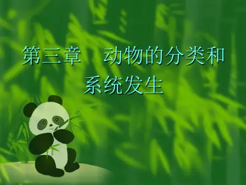 动物的分类和系统发生