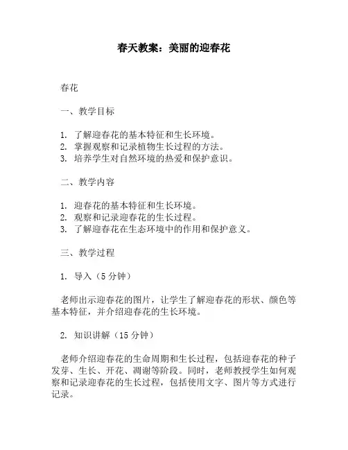 春天教案：美丽的迎春花