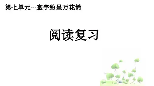 最新部编人教版语文五年级下册第七单元《阅读复习》优质教学课件