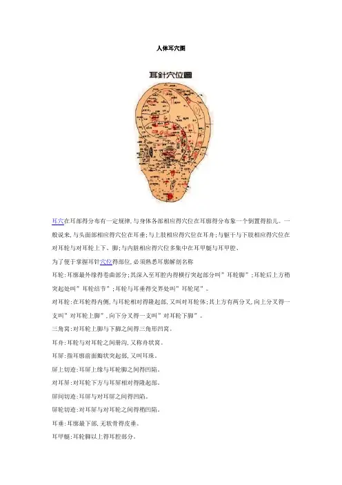 人体耳穴图
